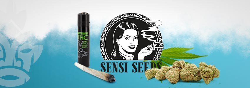 SENSI SEEDS